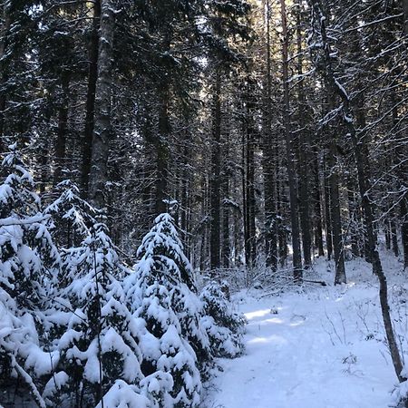 Kungsbergetnatur Järbo Εξωτερικό φωτογραφία
